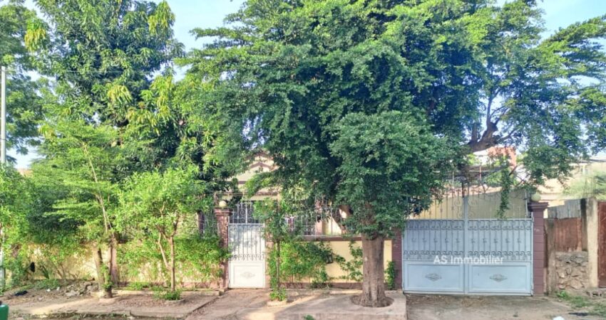 Villa à louer à magnambougou Faso Kanu