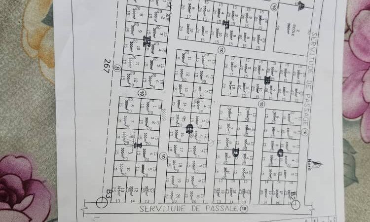 Vente de terrains de 20 lots collés a Gouana