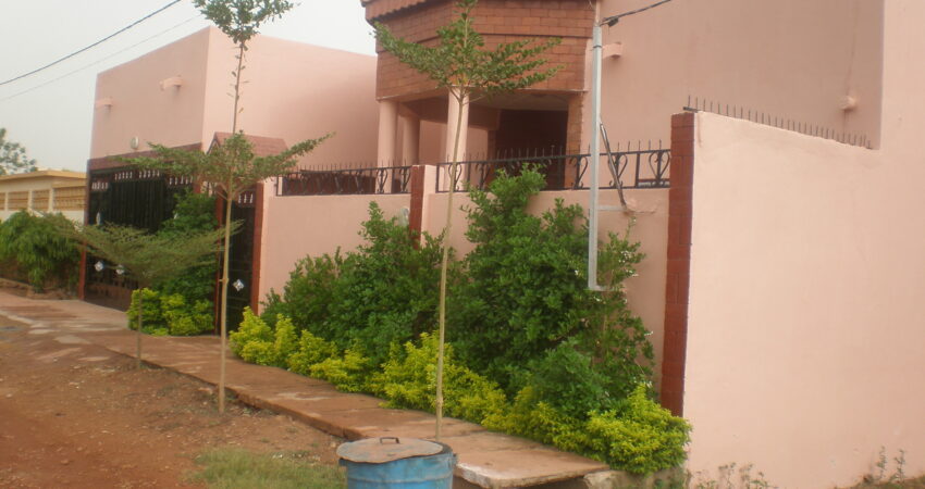 P32000551